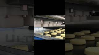 Cookie depositor | wire cut cookie #machine #cookies #bakery machine