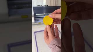Easy Flower Appliqué Tutorial with the Janome Artistic Edge Digital Cutter
