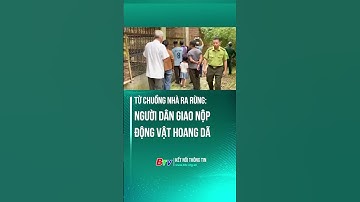 Từ chuồng nhà ra rừng: Người dân giao nộp động vật hoang dã
