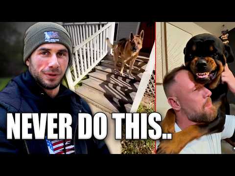 These TikTok Dogs Went Too Far… | Dog Trainer Reacts