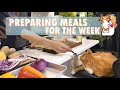 Preparing meals for the week 🔪 Cooking vlog