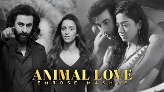 Animal Love (Emrose Mashup) | Emrose Percussion | Animal | Arjit Sing Songs | New Songs 2024