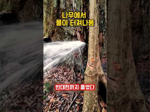 나무를 관통한 물줄기가 쇠와 유리까지 자르는 비밀｜The Secret Power of Waterjet Cutting Through Steel and Glass thumbnail