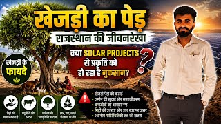 🌳 खेजड़ी: राजस्थान की पहचान और प्रकृति की शान | क्या Solar Projects से पर्यावरण को नुकसान हो रहा है?