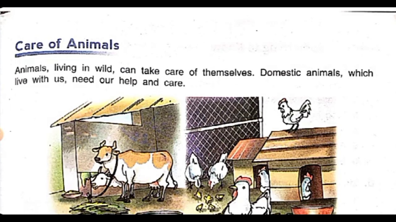 Class 3rd Science Chapter6 (Care of animals) YouTube