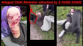 Man has 2 huge dogs violently attack alleged Child Molester! is he wrong? (graphic footage)