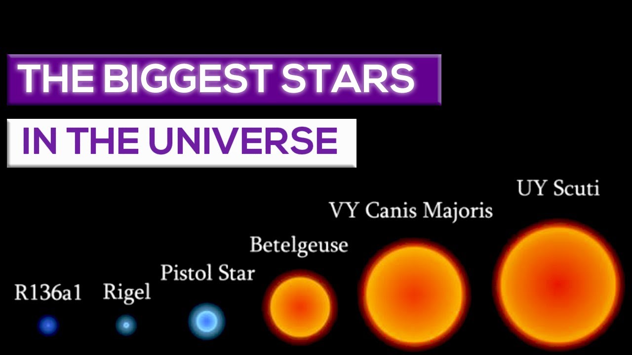 The Biggest Stars In The Universe And How We Measure Them! YouTube