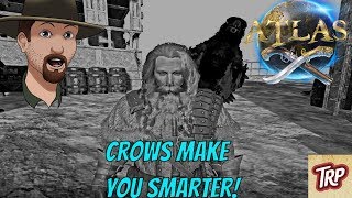 ATLAS How to Tame Crows with a Bird Box- Intelligence Bonus Comparison screenshot 2