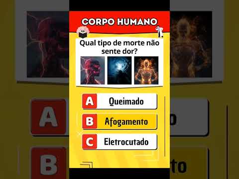 quiztime hora do quiz você consegue acertar todas as respostas certas