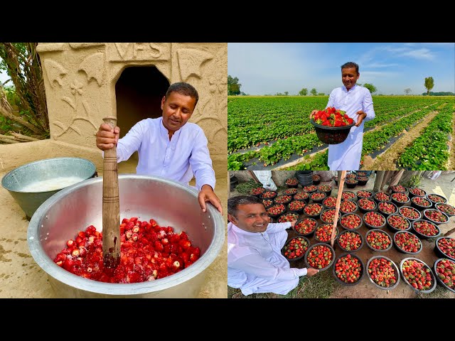Fresh Strawberry Milkshake Without Machine | Unlimited Strawberries 🍓 | Village Food Secrets class=