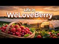 Life in WeLoveBerry | Where Nature Meets Berry Farming 🍓🍇☘🌿 #healthyfood #fruit #maroc