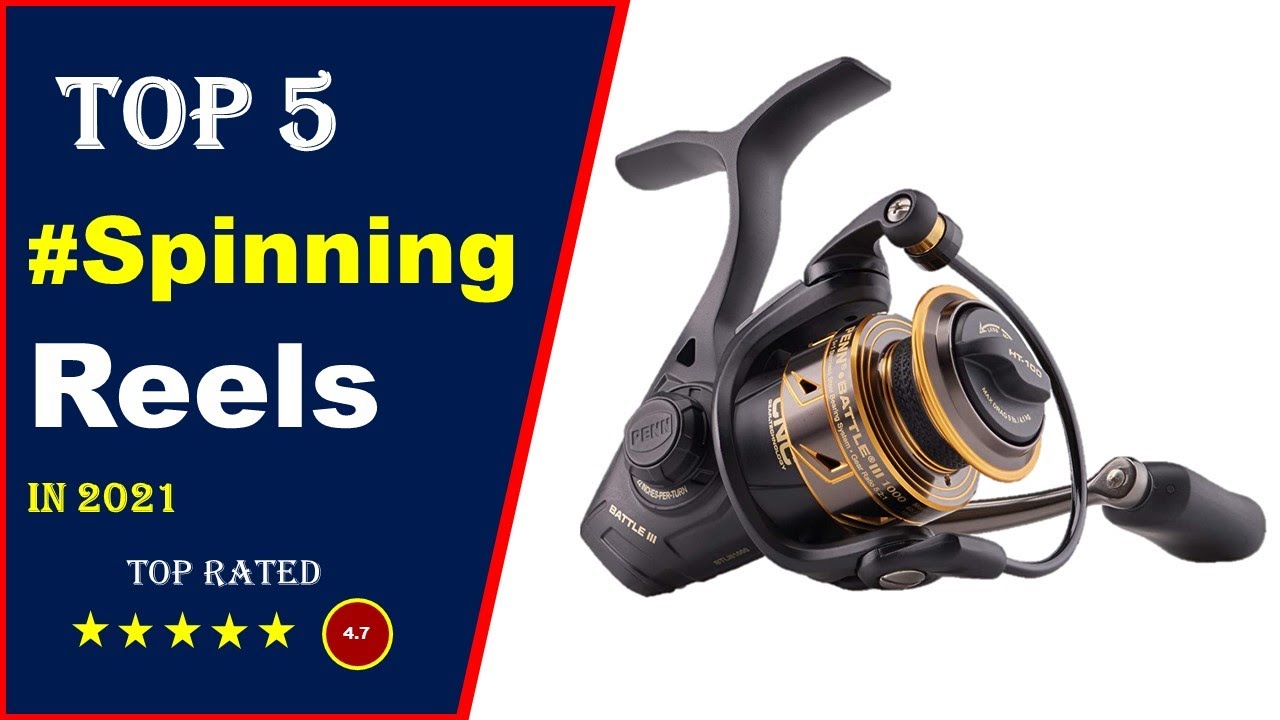 ✓ Top 5: Best Spinning Reel Under 200 In 2021[Tested & Reviewed] 