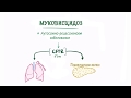 Муковисцидоз - причины, симптомы, диагностика, лечение и патология.