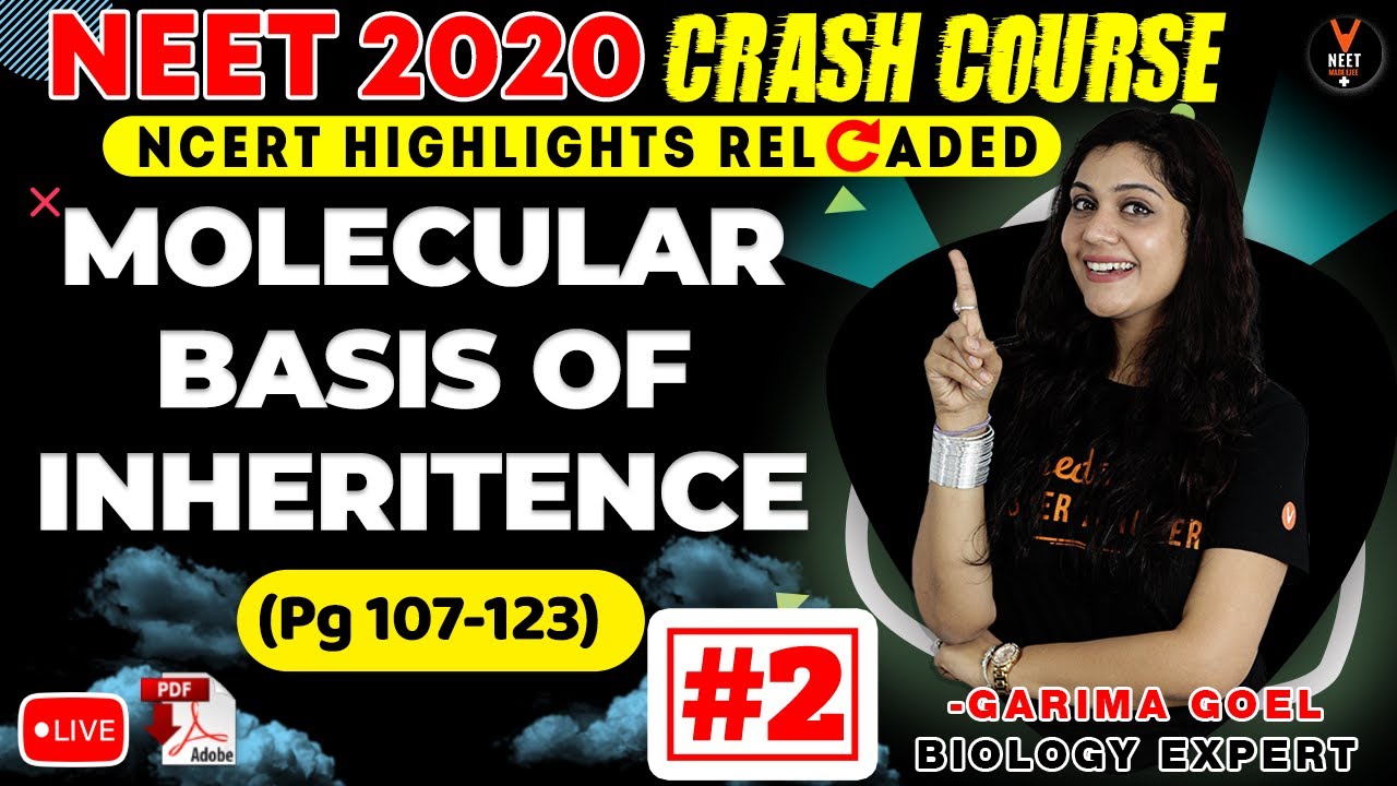 Molecular Basis of Inheritance #2 | NCERT Biology Highlight | Crash Course NEET 2020 Preparation