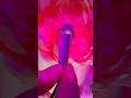 Microphone brushing: Peony edition 🎤🌸 #asmr #tingles #pink #satisfying