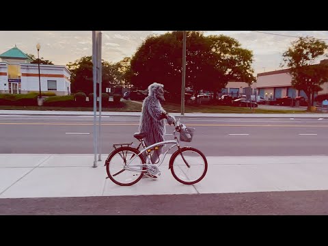 Beach Rats - Rat Beat 2