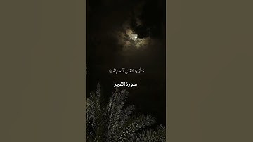 القارئ: فارس عباد 🍃  أرح سمعك 🥀حالات واتس آب ♻️