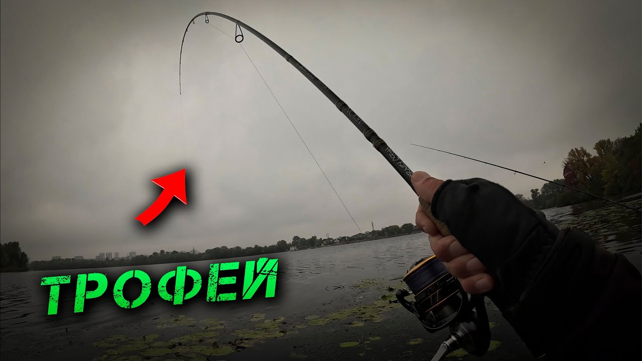 ⚠️Жор ТРОФЕЙНИХ Риб! День ПАРОВОЗІВ!⚠️