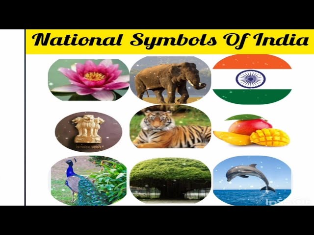 India Important Sign National Animal Flower Bird Of India