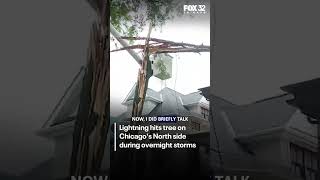 Lightning leaves tree hanging over Edgewater roof