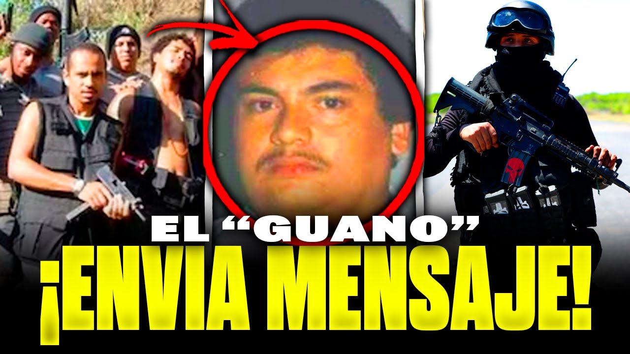 💥¡ÚLTIMA HORA! GUERRA INTERNA en el CÁRTEL de SINALOA: ¡VAN POR EL GUANO!