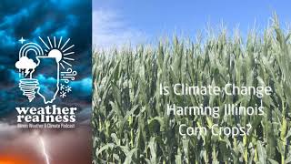 Is climate change harming corn crops in Illinois?