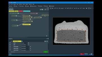 Getting started with flatten module to create interactive contours in Amira or Avizo Software