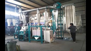 Small scale maize milling machine for Africa super white maize flour