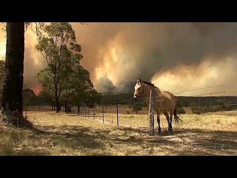 Video: Ein Buschfeuer Ebnete Den Weg Für Dieses Haus In Tasmaniens Dunalley