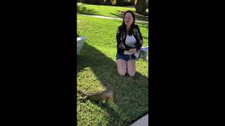 Dawn gets whipped by an Iguana