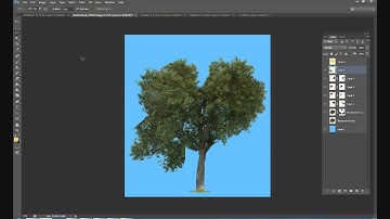 Christian Photoshop Tutorial - Heart Tree