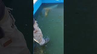 Man Plunges Through Thin Pool Ice