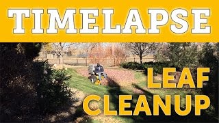 Timelapse: Walker T25i Leaf Cleanup
