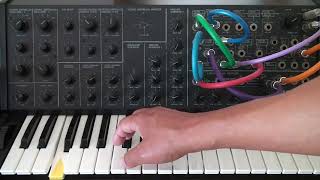 Korg MS-20 22F loop #korgms20