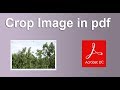 How to crop image in pdf document using Adobe Acrobat Pro