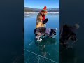 What could two dogs be doing in the midst of a vast snow desert? #funny #memes