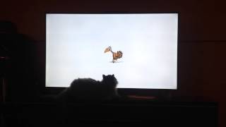 Selkirk Rex cat, 'Regan' & the YouTube Turkey. - Kimmaaay's Cat by Selkirk Rex Regan - Kimmaaay's Cat 11 views 7 years ago 1 minute, 8 seconds