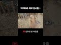 카피바라 애교 본사람~ #애교쟁이 #핵인싸 #카피바라 #빗자루 #대구여행