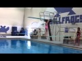 Coleen diving