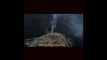 Hapoi - Firecrackers Vs Natural things - Explosion🧨💥| Slow-motion | #hapoi #firecracker #explosion