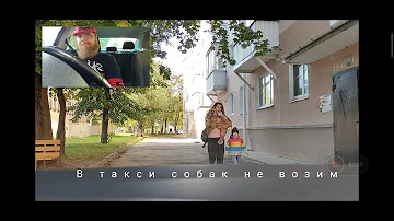 Как заказать Яндекс Такси с собакой