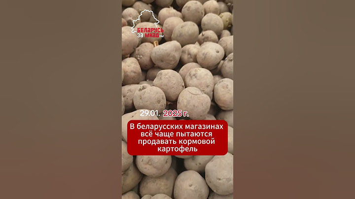 «Держат» за свиней. Беларусам пытаются продать кормовую картошку по цене обычного сортового #логойск