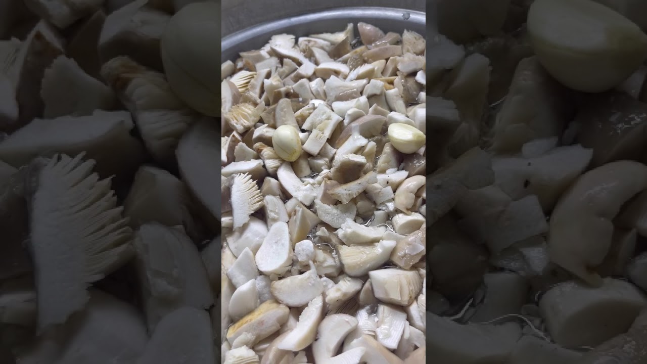 Funghi di bosco sott’olio 