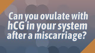 Can you ovulate with hCG in your system after a miscarriage
