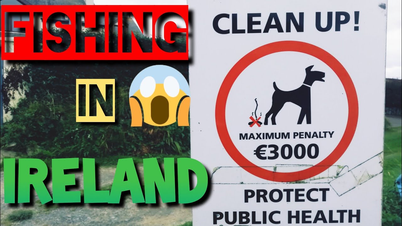 МОНСТРЫ ОХОТЯТСЯ У БЕРЕГА / СНОВА БЕШЕНЫЙ КЛЁВ / HOW  TO  CATCH POLLOCK /18 +