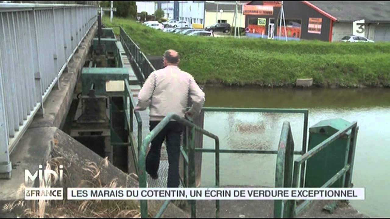 SUIVEZ LE GUIDE : Les marais du Cotentin, un écrin de verdure exceptionnel