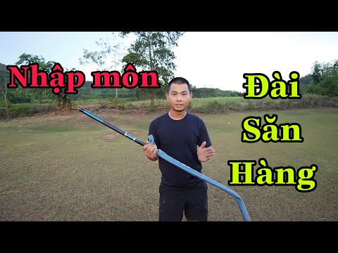 Nhập Môn Đài Săn Hàng - Set Đồ Cơ Bản