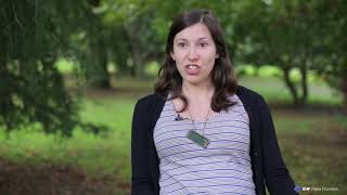 Indigenous Knowledge and Social Change