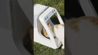 Mealtime has never been easier than with the PawsPik Automatic Microchip RFID Pet Feeder!