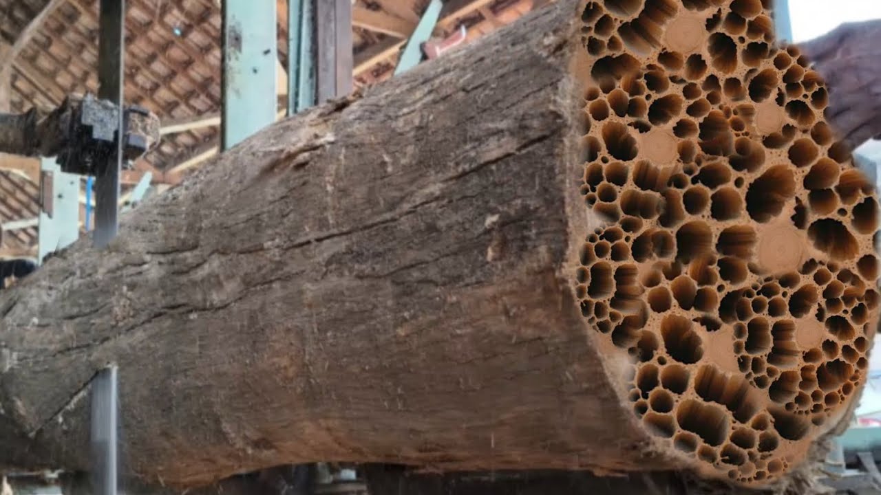 100 seconds before this disaster occurred at teak sawmill - YouTube